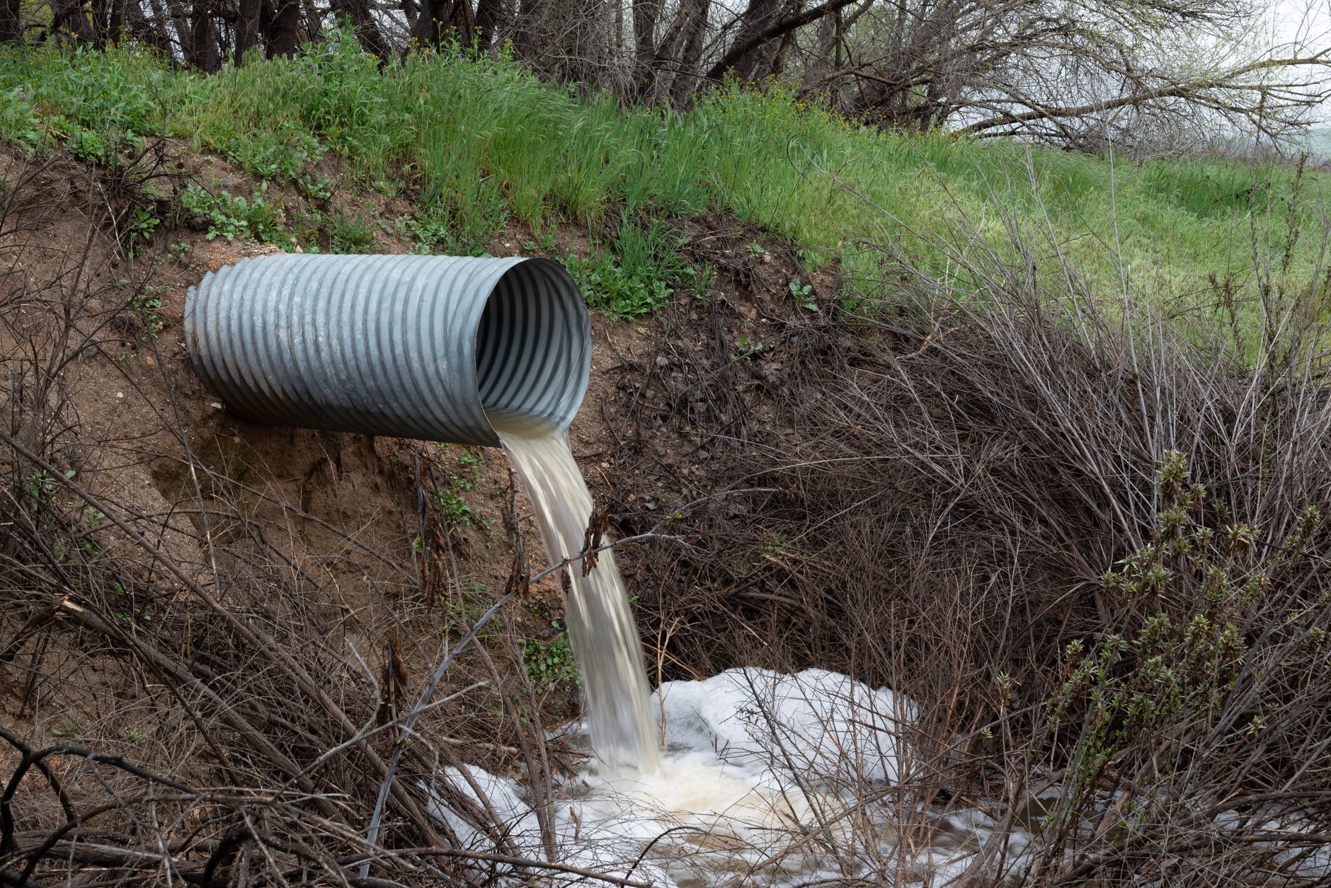 Drain Field Repair